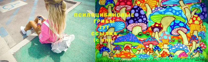 Псилоцибиновые грибы Magic Shrooms  это официальный сайт  Муравленко 